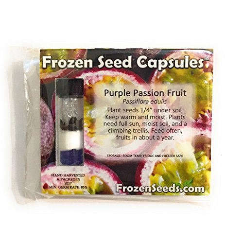 Purple Passionfruit Seeds (Passiflora Edulis) 10+ Tropical Passion Fruit Seeds In 'Frozen Seed Capsules' For The Gardener & Rare Seed Collector - Plant Seeds Now Or Save Seeds For Years #TOP1