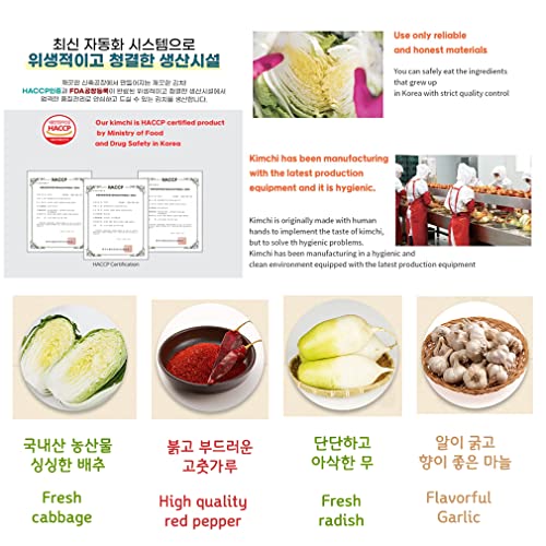 Bongwha The Real Kimchi Korean Cabbage Kimchi Authentic Korean Healthy Traditional K Food Gyeongsangbuk-Do Cyso (5Kg(11.02Lb), 2) #TOP3