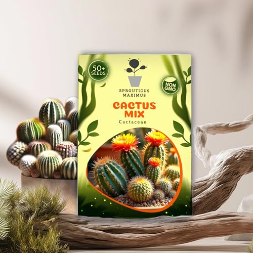 Seeds Cactus Mix 50+ Seeds to Grow Cacti Indoor and