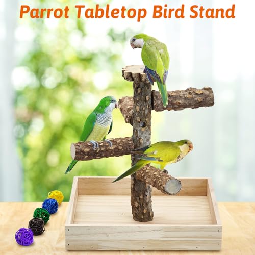 Image of BNOSDM Portable Bird Perch Stand with Potty Tray, Natural Wood Tabletop Training Gym Parrot Playground Toy for Budgies, Cockatiels, Lovebirds,Conures Canaries