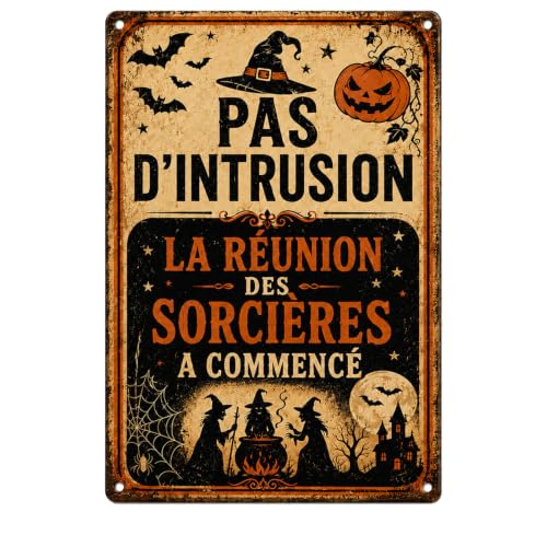 GAKVIBOPG Deco Halloween Plaque Métal, Affiche Sorcière Mural de Halloween