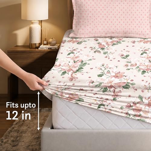 Image of MYTRIDENT Soft Comfort Bedsheet for Double Bed King Size | 72 Inches x 78 Inches + 12 Inches | 180 TC, 100% Cotton, Elastic fittedsheet with 2 Pillow Covers | Soft and Breathable - Daisy