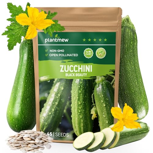 PLANTMEW Zucchini Seeds for Planting - 45 Black Beauty Summer