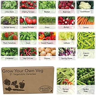 Pronto Seed Vegetable Herb Seeds Grow Your Own Kit Gardening Gift for Women and Men Bumper Pack (24 Varieties with Over 1700 Seeds) Salad Mix, Spicy Mix, Peas & Beans Mix & Vegetable Mix