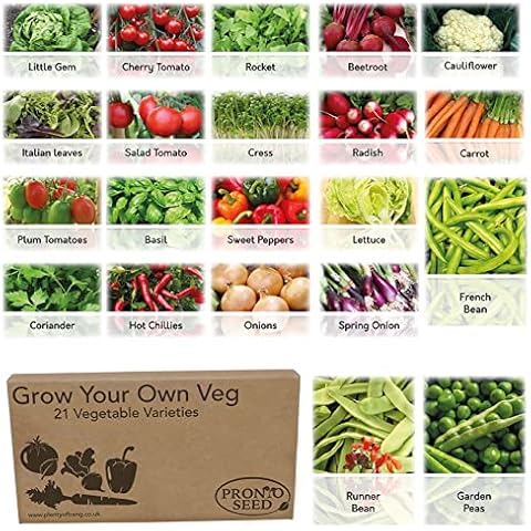Pronto Seed Vegetable Herb Seeds Grow Your Own Kit Gardening Gift for Women and Men Bumper Pack (24 Varieties with Over 1700 Seeds) Salad Mix, Spicy Mix, Peas & Beans Mix & Vegetable Mix Cover