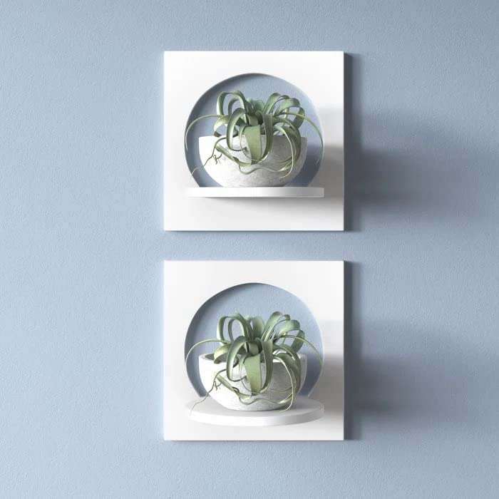 PREDELLA Flower Pot Round Tray Wall Mounted Foldable Metal Plant Holder |Plant Stands |Hanging Plant Pot Small Shelf, Plant Pot Stand Set of 2 (B0BCLW7TSN) Amazon Price History, Amazon Price Tracker