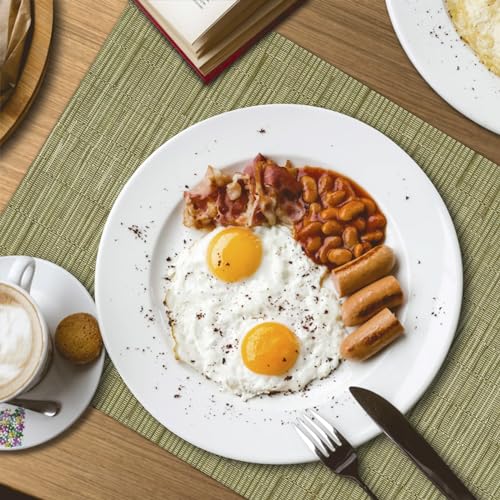 Lumaca Tovagliette Americane Lavabili, Set di 6 Tovaglietta Colazione (70% PVC,30% Poliestere),Resistenti al Calore, Antiscivolo,per Tavolo da Cucina e Ristoranti,Verde - immagine 6