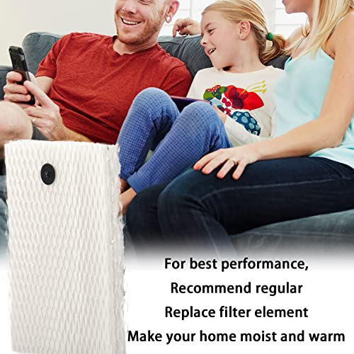 Filtro HWF100 de repuesto E para solucionar el aire seco con Holmes HM7305 8