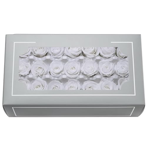 A Grade 2-3cm Preserved Rose Head, 21 Pcs/box Real Roses Forever Flowers, Eternal Rose Last 2 to 3 Years for Mother's Valentine's Day Birthday Gifts Wedding Home Party Decor DIY Essential (White)