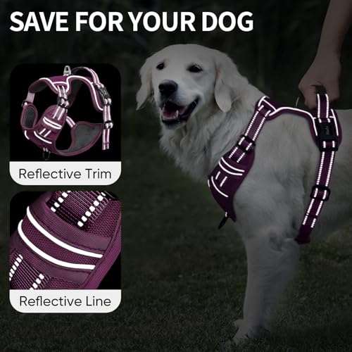 Image of HEELE Dog Harness for Medium Dogs No Pull Dog Vest Harness with Soft Padded Handle Reflective for Outdoor Training, Purple(Matching Trim), M