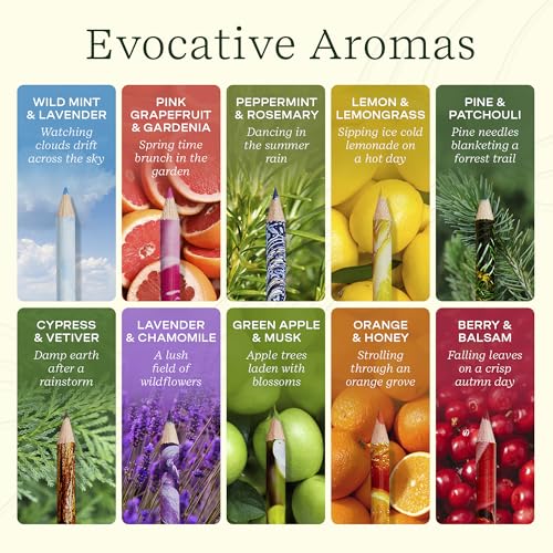Lifelines Lápis de cor perfumados, pacote com 20, paleta clássica e terrestre – Conjunto de lápis de