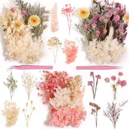 Natural Dried Flowers