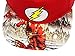 DC Comics Flash Hat Kids Embroidered Logo Photoreal Youth Snapback Cap