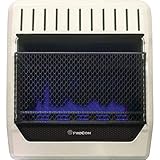 PROCOM HEATING MGT20BF 20,000 BTU Dual Fuel Blue Flame Gas Wall Heater