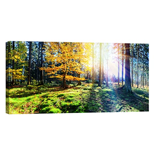 Canvas painting Nature DCL225-3 tableau phosphorescent de grande taille 60 x 120 cm