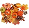 winemana Fall Decorations for Home-6pcs Mini Pumpkins & 2pcs Gourds, 30pcs Leaves & 10pcs Acorns, 2pcs Pinecones Centerpiece Set -Thanksgiving Harvest Decor for Table Mantel (Largest: 4.5" x 2.1")
