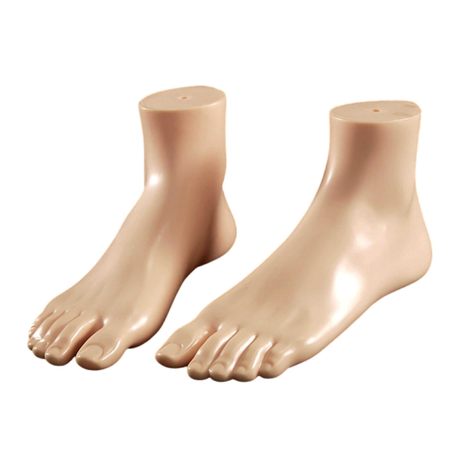 Of Anatomical Foot Replicas for Academic Demonstrations, Shoe Photography & Art Sculpture Reference Decorative Bookends Feet