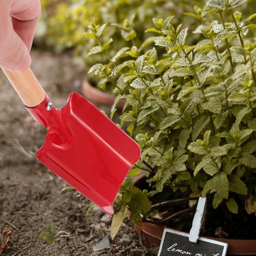 Palita de Jardín Pequeña con Cabeza Roja Cuadrada miniatura 5