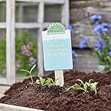 Saatgrüße - Er liebt mich, er liebt mich nicht... - Saatgut für Gänseblümchen