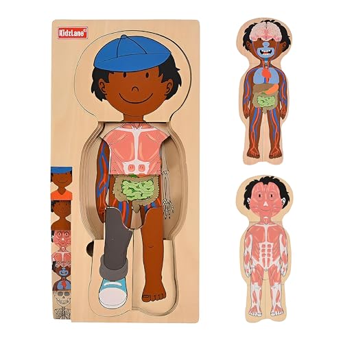 Kidzlane African American Boy Wooden My Body Puzzle for Toddlers - 29 Piece Girls Anatomy Puzzle Kid Play Set - Anatomy for Kids, Skeleton Toys for Kids Ages 3 Plus