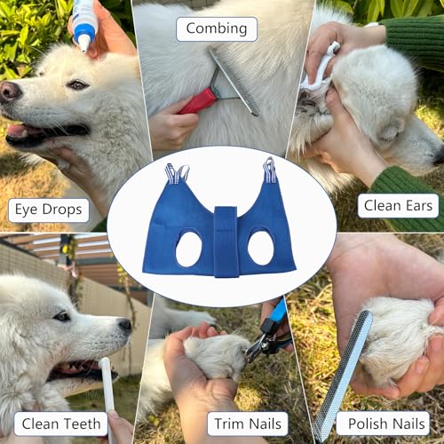 DaizySight Hund Hängematte Krallen Friseur Set für Mittlere Hunde - Größe L, Hängegeschirr für Nageltrimmen, krallenschneider, Haustierpflege, Trimmtisch