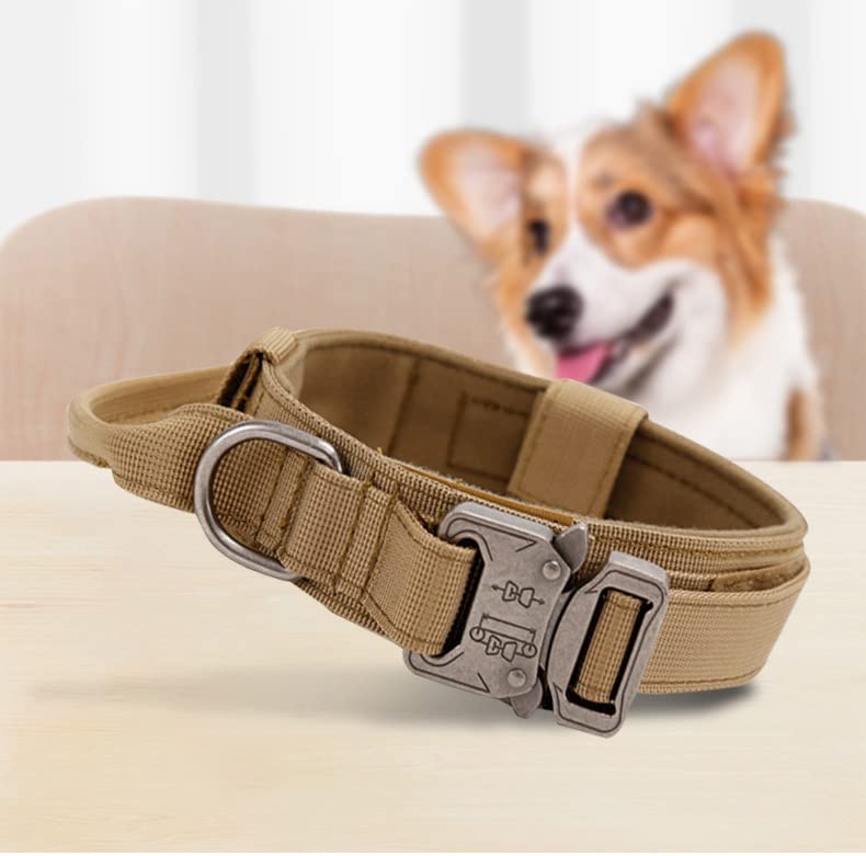 Collar táctico para perros A4DOG de nylon ajustable miniatura 4