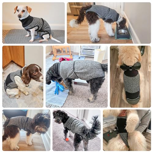 Image of BEAUTYZOO Dog Surgery Recovery Suit, Female Spay, Male Neuter, Anti Licking