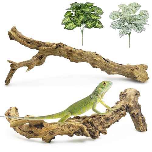 Apatal Reptile Branch Decor 2 Pcs Snake Climbing Wood Branches Lizard Habitat Decorations Terrarium Natural Forest Tree Trunk Ornament for Bearded Dragon Geckos Chameleon Frog