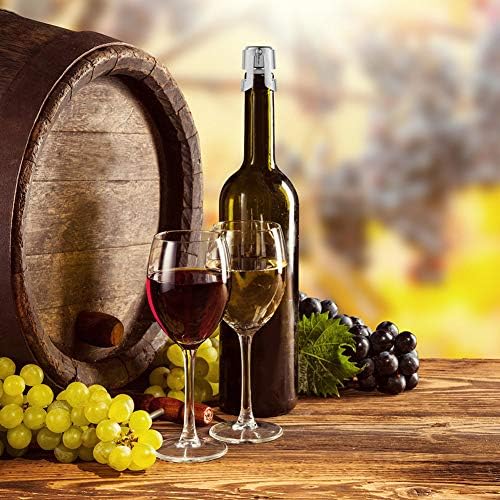 Opopark 4pcs Bottle Stoppers Stainless Steel Champagne Stoppers Wine Bottle Stopper Reusable Bottle Saver Sealer Wine Stoppers Wine Corks for Wine Champagne Beer Collection
