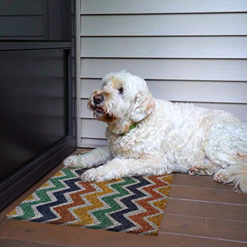 Ninamar Door Mat Zigzag Natural Coir – 29.5 X 17.5 Inch #TOP1