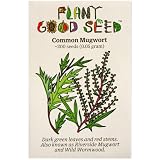 Common Mugwort (Artemisia vulgaris) Seeds - Pack of 200, Certified Organic, Non-GMO, Open Pollinated