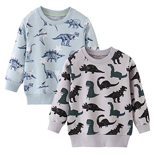 Azalquat Toddler Boys Crewneck Sweatshirt , Cotton Long-Sleeve Pullover Cartoon Print (Dinosaur Blue/Grey, 18_24 months)