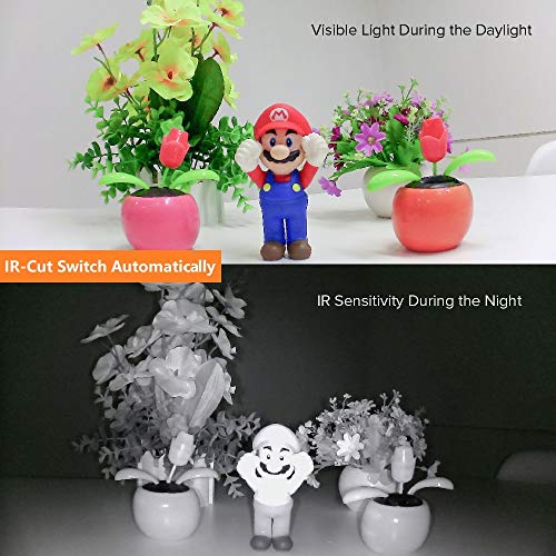 Arducam 1080P Day & Night Vision Usb Camera For Computer, 2Mp Automatic Ir-Cut Switching All-Day Image Usb2.0 Webcam Board With Ir Leds For Windows, Linux, Android And Mac Os #TOP2