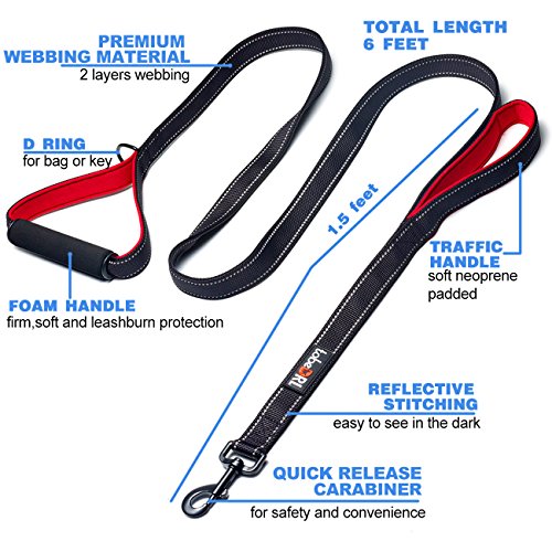 Tobedri Heavy Duty Dog Leash - 2 Padded Handles, 6 Feet Long - Dog Training Walking Leashes For Medium Large Dogs (Black) #TOP1