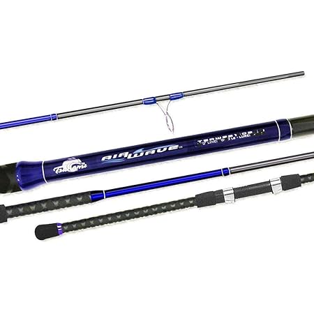 heavy action rod