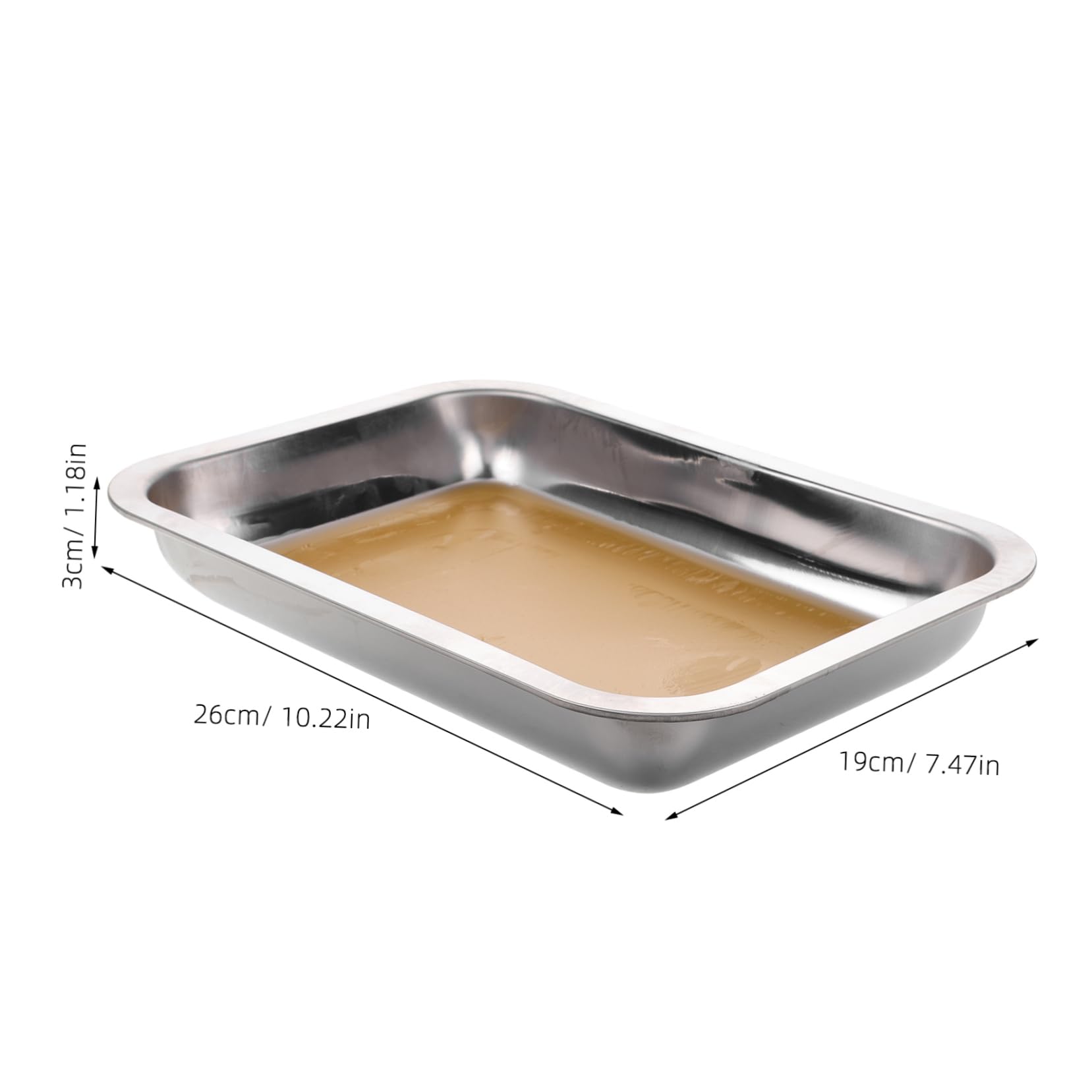 ERINGOGO Stainless Steel Dissection Pan for Teaching Research and Safe Laboratory Use