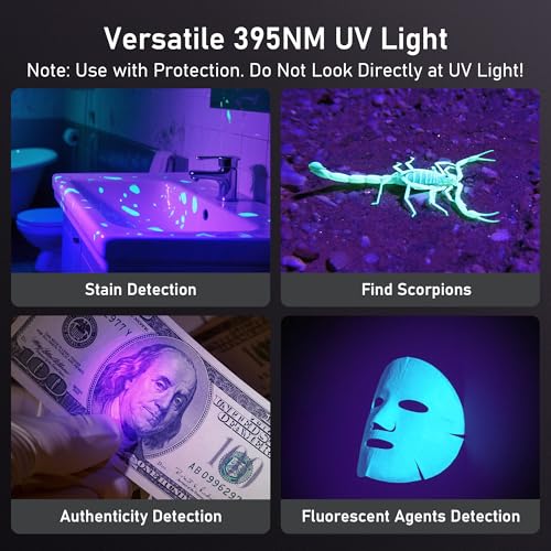 Taschenlampe LED/UV Aufladbar 2 in 1, Laitver 2000L Superhell Taschenlampen 395nm Mini Schwarzlicht 6 Modi, Zoombar Lange Akkulaufzeit Wasserdischt, für Beleuchtung & Erkennung von Tierurin