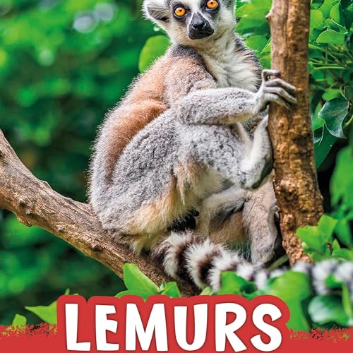 Lemurs by Jaclyn Jaycox episode artwork