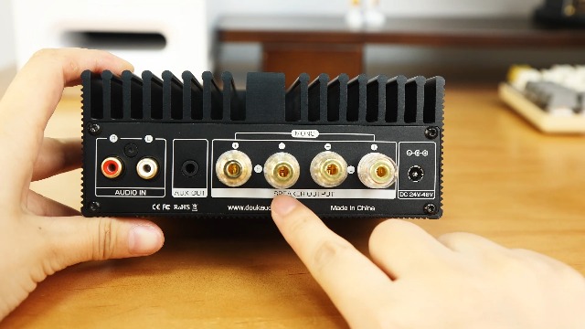 Douk Audio A100 TPA3255 300 watts x2 Digital Power Amplifier