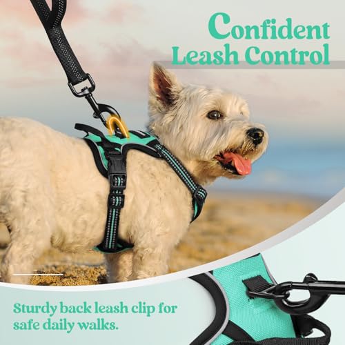 Image of rabbitgoo Dog Harness No Pull with 2 Leash Clips, Adjustable Soft Padded, Reflective Oxford No Choke Pet Vest with Easy Control Handle for Puppy, Turquoise, XS