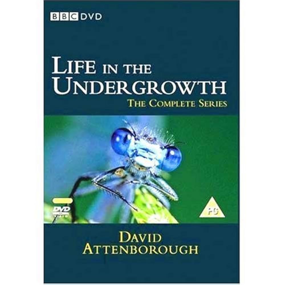 Life in the Undergrowth DVD 5枚セット 511nXEpL4rL._UF1000,1000_QL80_.jpg