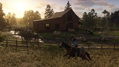 Sony Dead Redemption 2 PS4 - vue 7