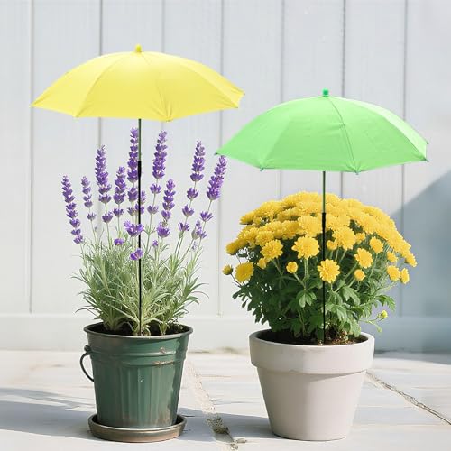Joyline Plant Umbrella