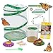 Insect Lore Butterfly Garden with Live Cup of Caterpillars