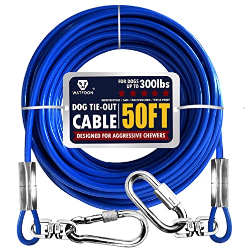 Are Dog Pulley Runs Safe