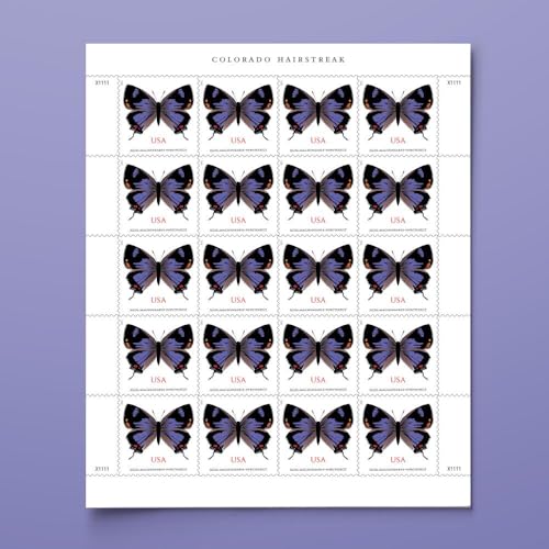 Colorado Hairstreak (Non-Machineable Surcharge for Square Envelopes) (5 Sheets of 20) First-Class Mail Forever Postage Stamps Holiday Celebrations Wedding Invitations Announcements Anniversary by United States Postal Service - Used condition - Image 5