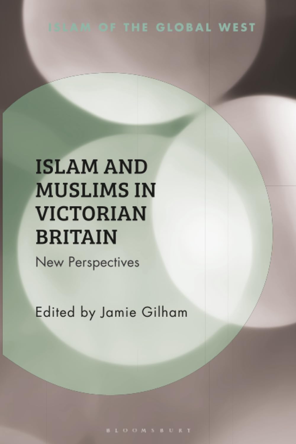 Islam and Muslims in Victorian Britain: New Perspectives (Islam of the Global West)