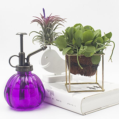 Plant Mister, Boller Glass Watering Spray Bottle Vintage Style Decorative Mister With Top Pump 6.5" Tall Small Watering Can For Plants And Flowers- Purple #TOP5
