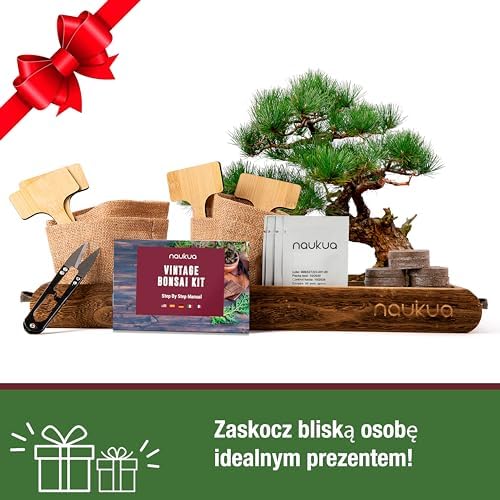 Zestaw Startowy Bonsai - 4 Drzewka Bonsai (Organiczne Nasiona) - Unikalny Pomysł Na Prezent - Wszystko, Czego Potrzebujesz, Aby Wyhodować Własne Drzewka Bonsai w Domu - Kompletna Instrukcja Obsługi Krok Po Kroku.
