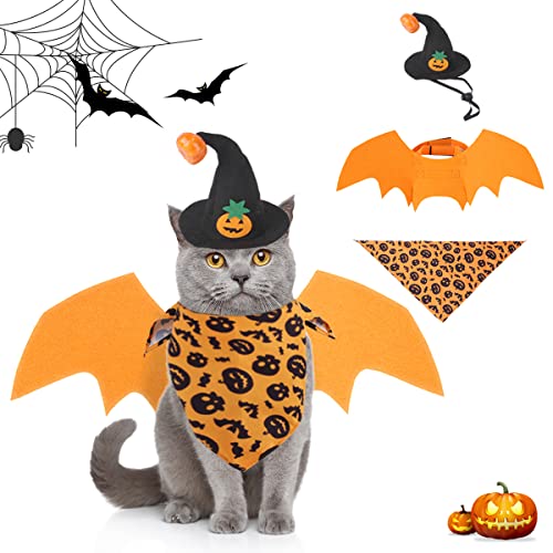 Hunde Halloween Kostüm Spinne - Gruselig & Verstellbar Für Kleine Hunde